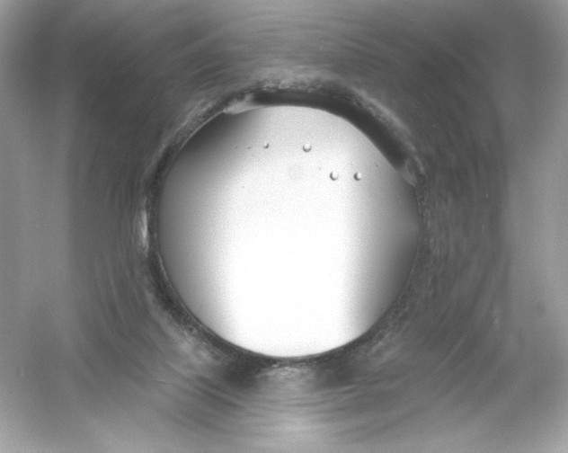 X0000053000067200508051145