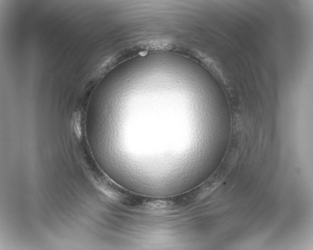 X0000053000069200508051145