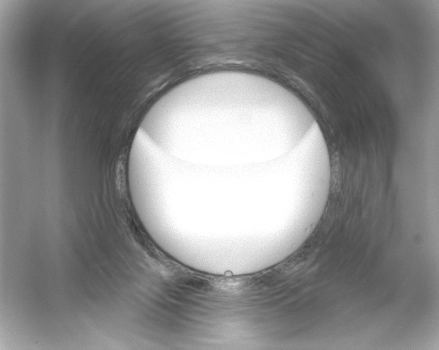 X0000053000071200508051145