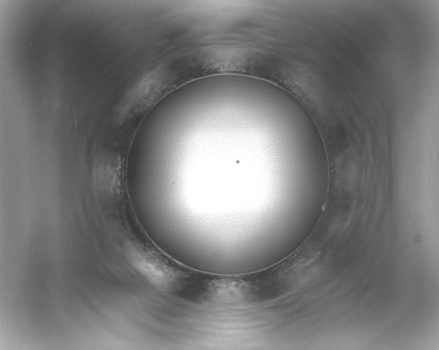 X0000053000073200508051145