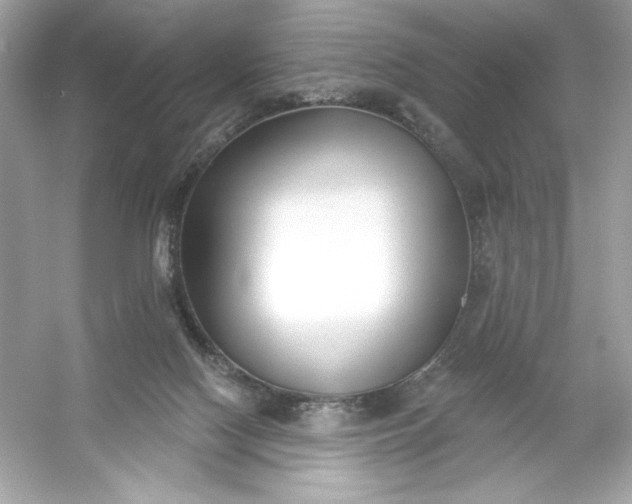 X0000053000074200508051145