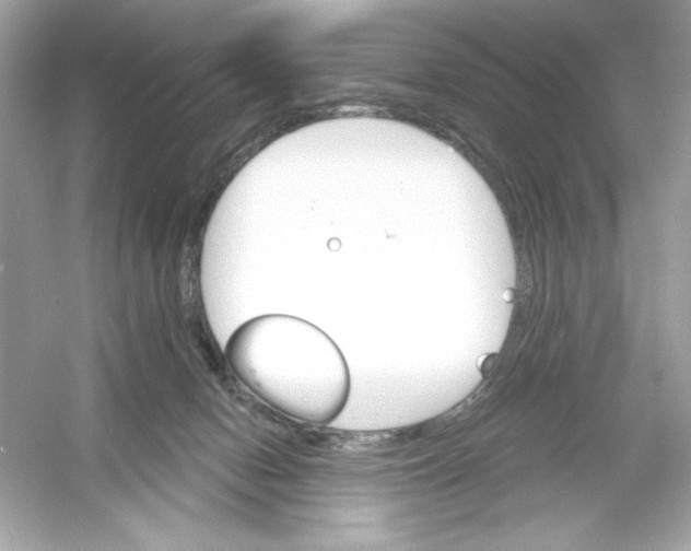 X0000053000078200508051145