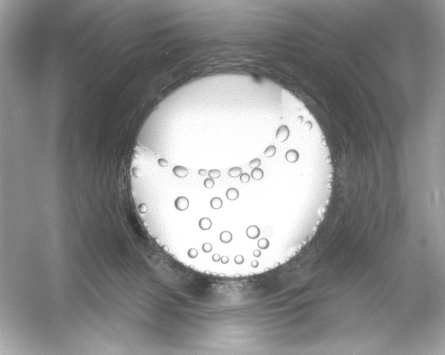 X0000053000079200508051145