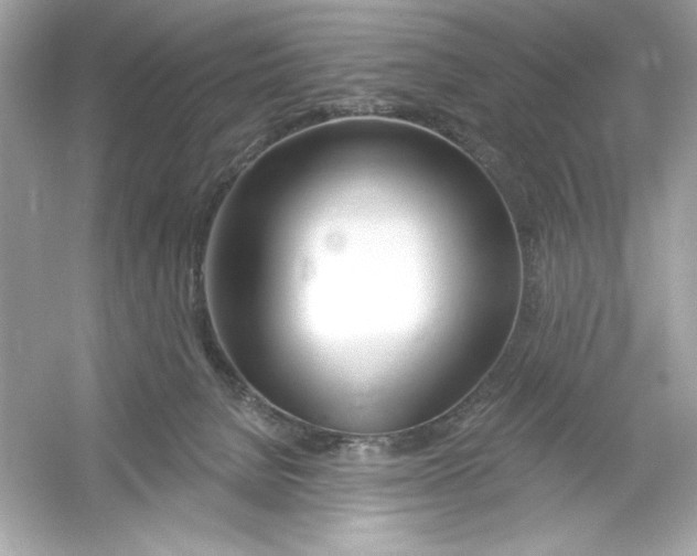 X0000053000080200508051145