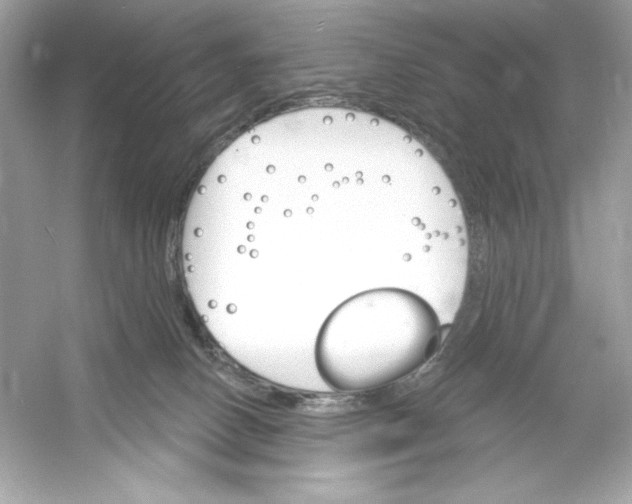 X0000053000082200508051145