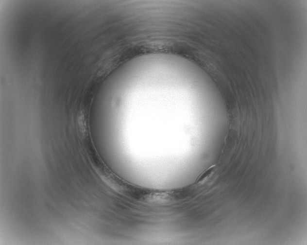 X0000053000086200508051145