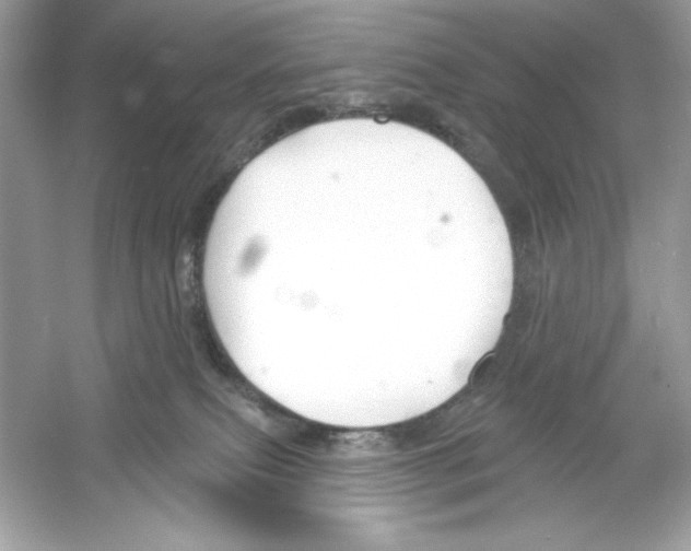 X0000053000087200508051145