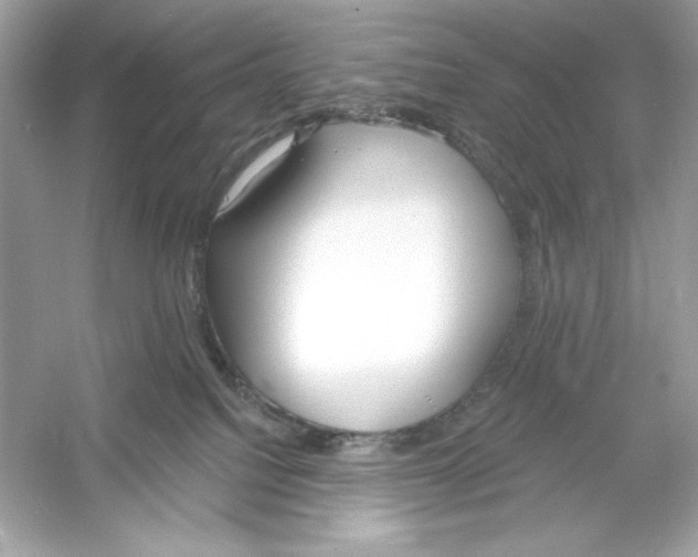 X0000053000088200508051145