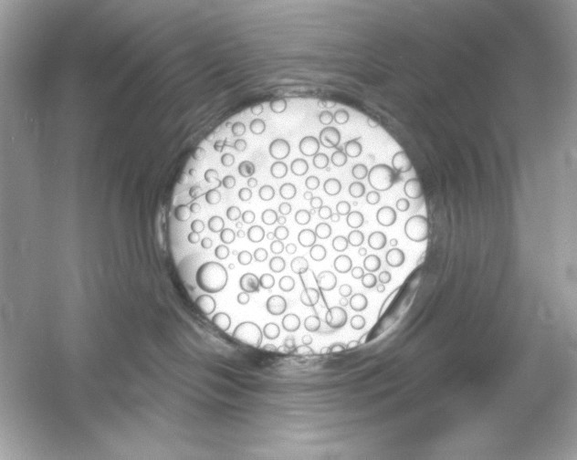 X0000053000094200508051145