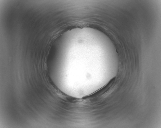 X0000053000096200508051145