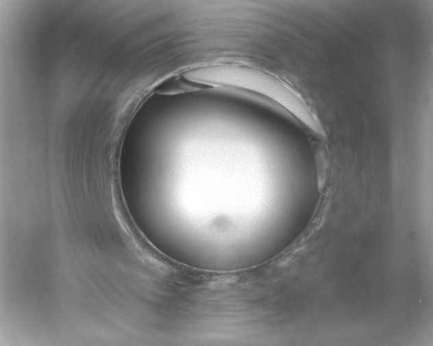 X0000053000097200508051145