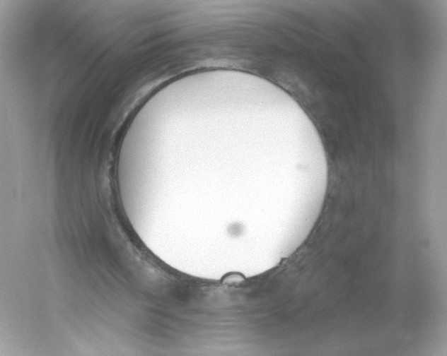 X0000053000098200508051145