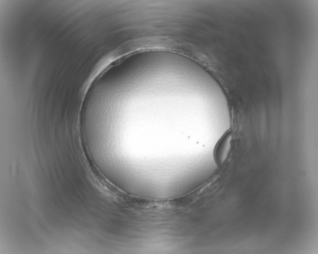 X0000053000099200508051145