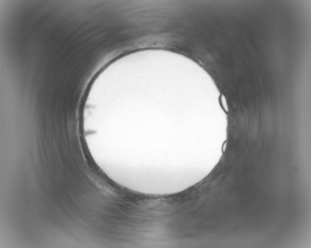 X0000053000100200508051145