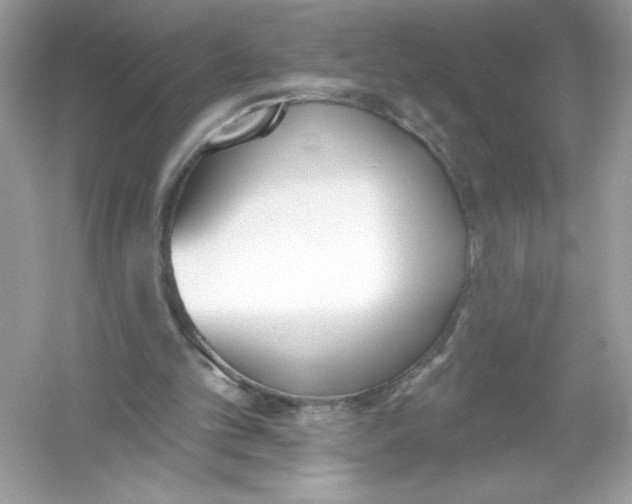 X0000053000101200508051145