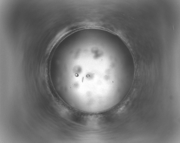 X0000053000103200508051144