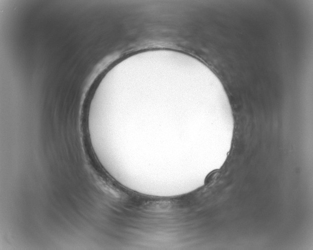 X0000053000104200508051144