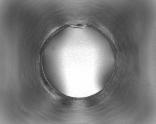 X0000053000107200508051144