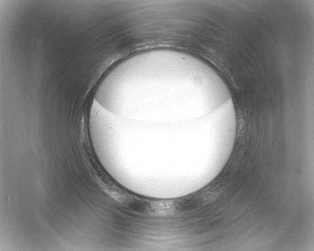 X0000053000110200508051144