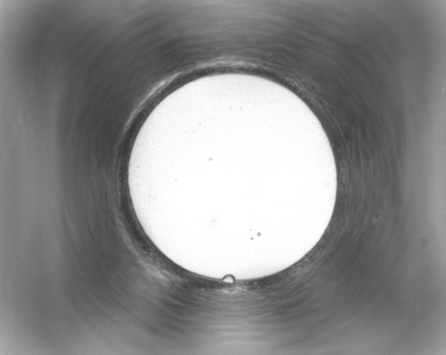 X0000053000112200508051144