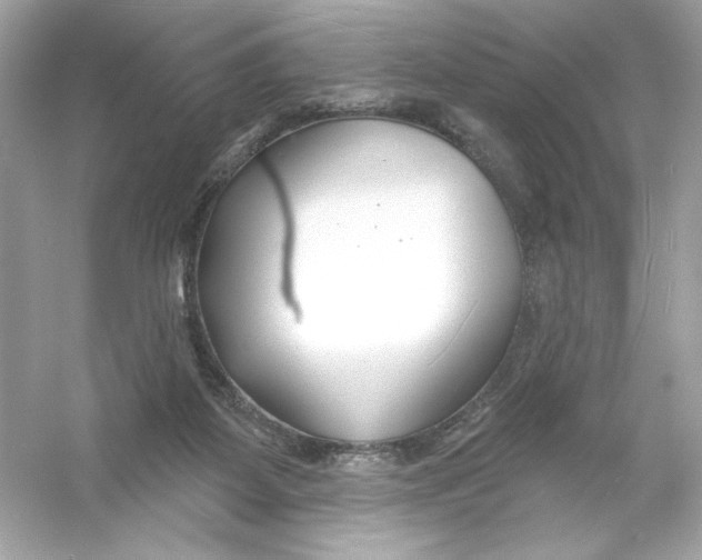 X0000053000115200508051144