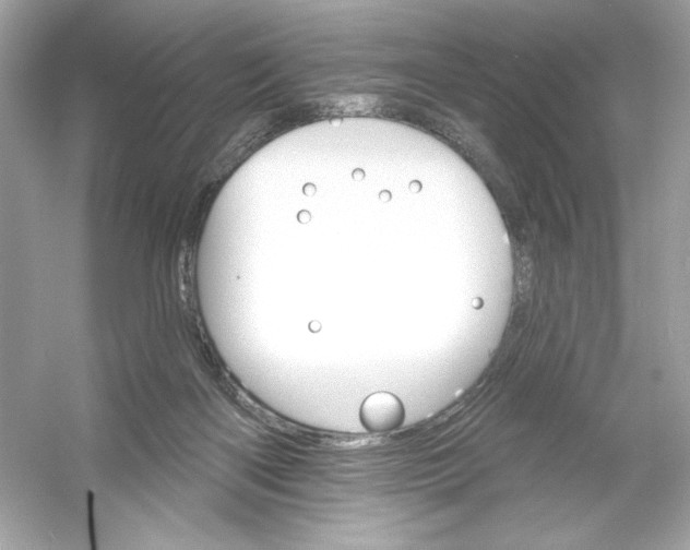 X0000053000122200508051144