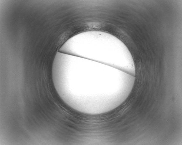 X0000053000123200508051144