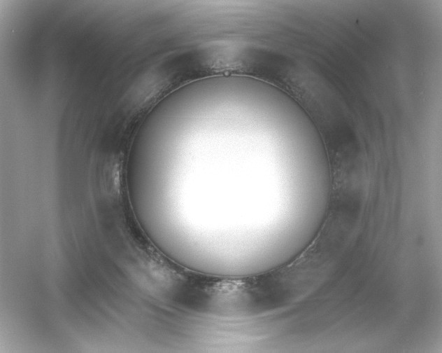 X0000053000124200508051144