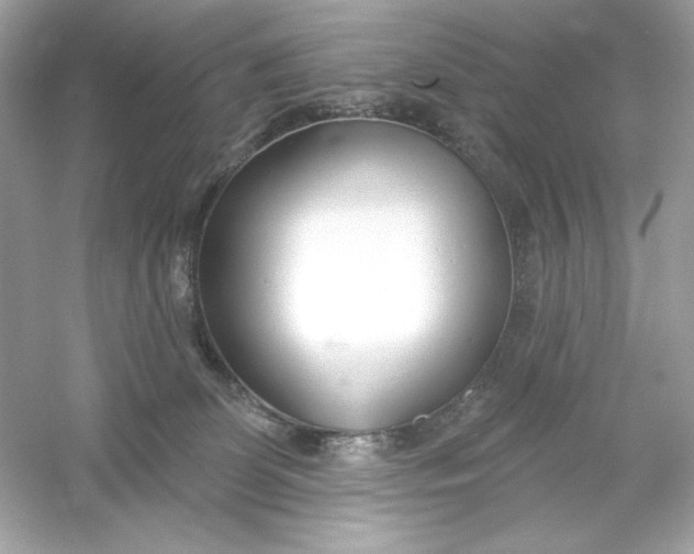 X0000053000131200508051144