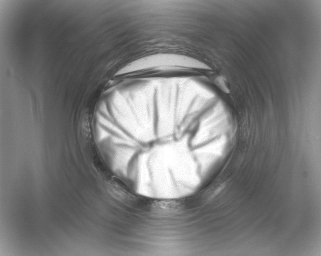 X0000053000137200508051144