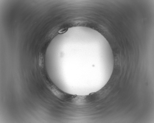 X0000053000138200508051144