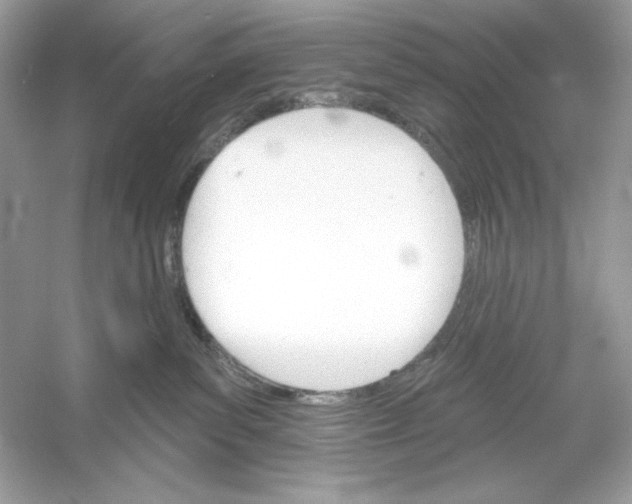 X0000053000139200508051144