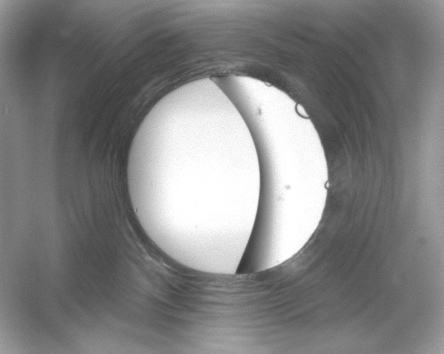 X0000053000140200508051144