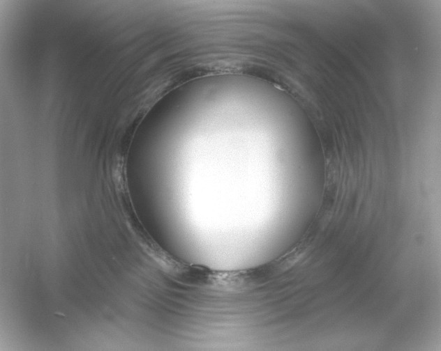 X0000053000141200508051144