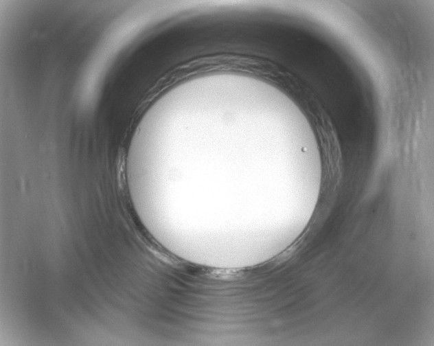 X0000053000142200508051144