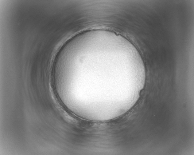 X0000053000145200508051143