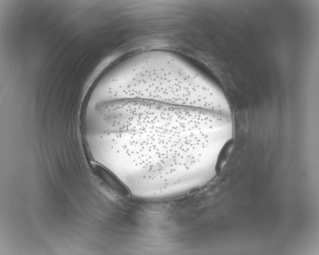 X0000053000147200508051143