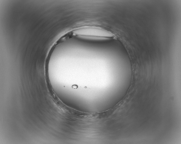 X0000053000148200508051143