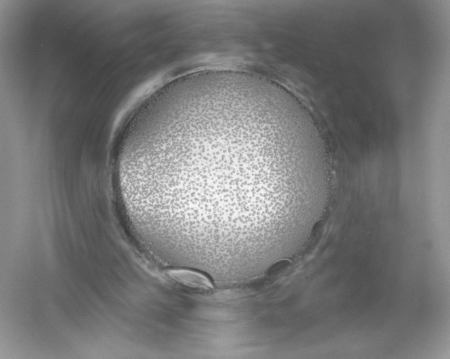 X0000053000149200508051143