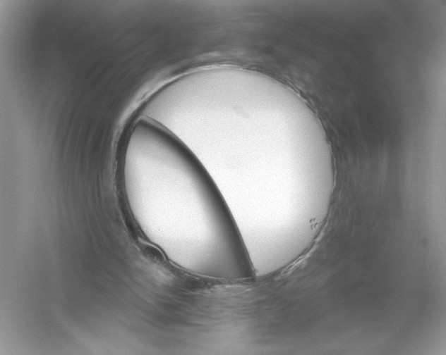 X0000053000150200508051143