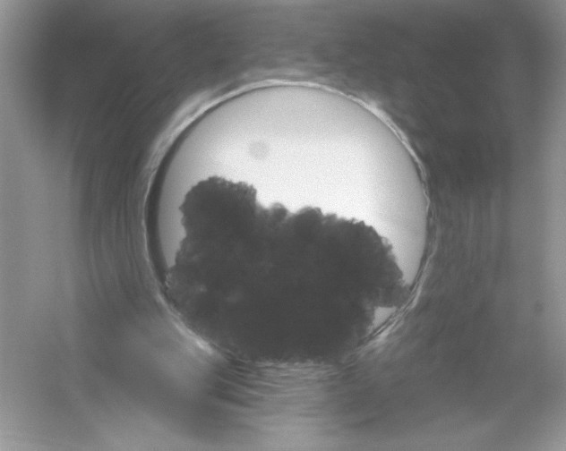 X0000053000151200508051143