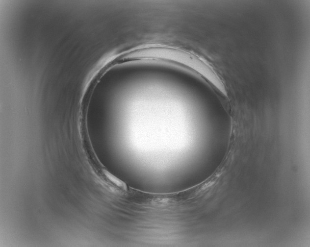 X0000053000152200508051143