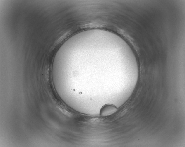 X0000053000153200508051143