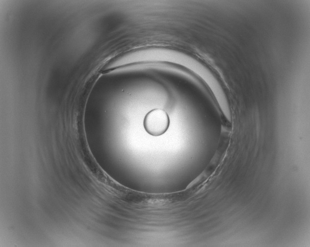 X0000053000154200508051143