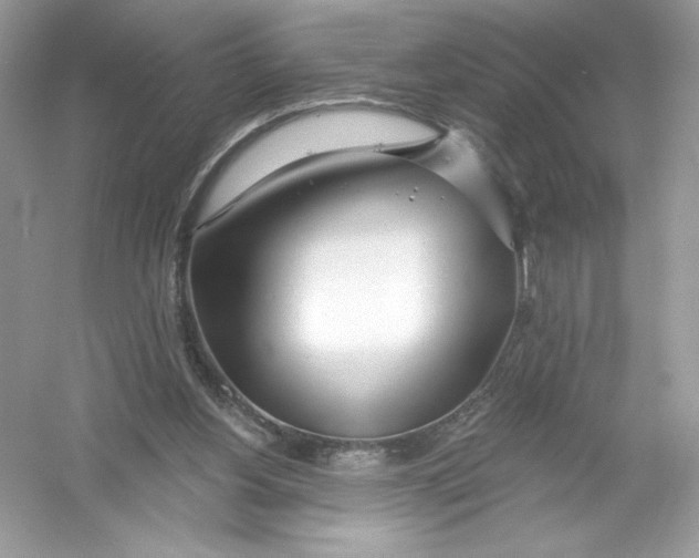 X0000053000156200508051143