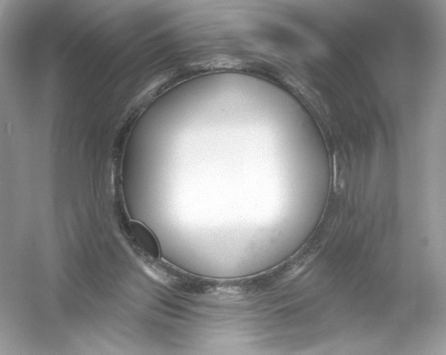 X0000053000157200508051143