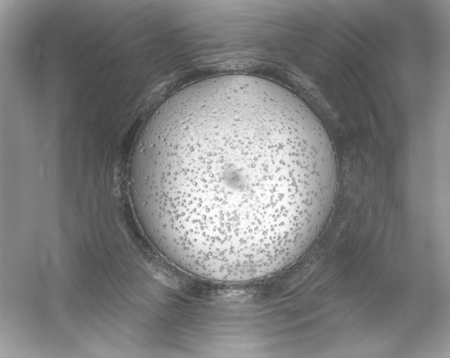 X0000053000161200508051143