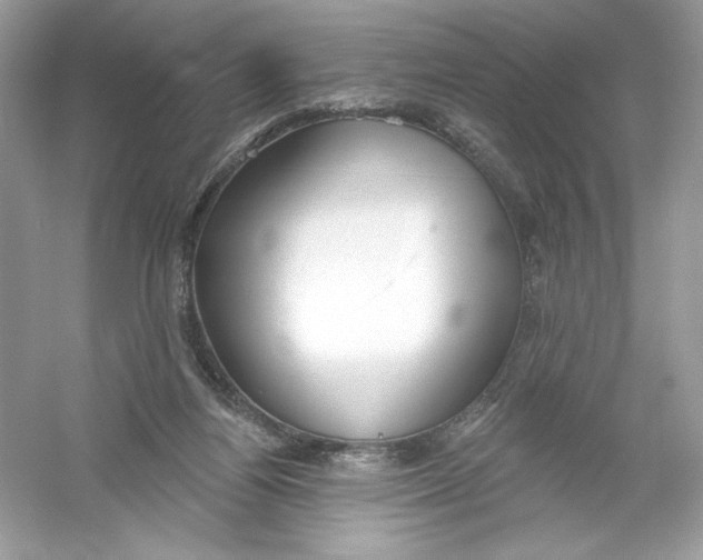 X0000053000164200508051143