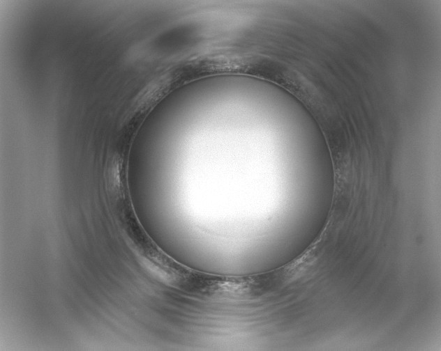 X0000053000166200508051143