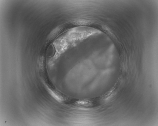 X0000053000167200508051143